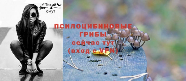 ECSTASY Костерёво