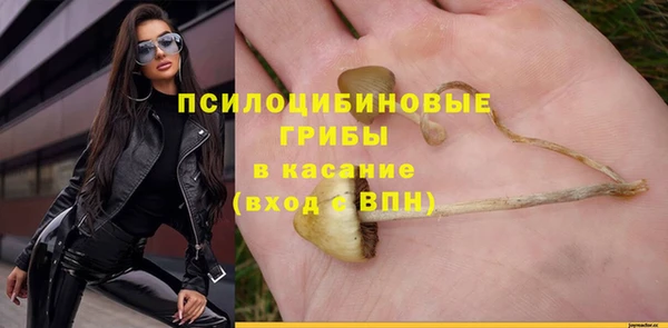 ECSTASY Костерёво