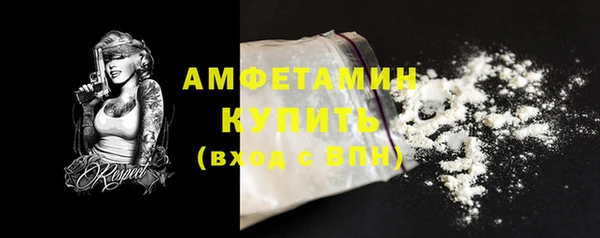 шишки Коряжма