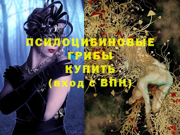 шишки Коряжма