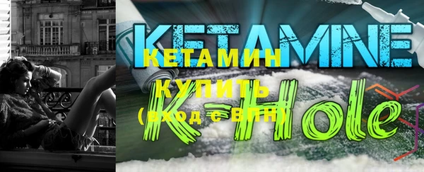 шишки Коряжма