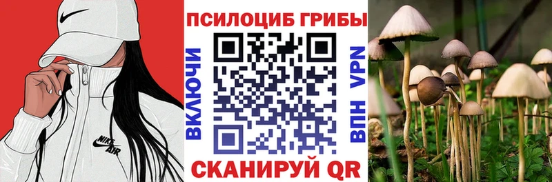 Купить закладки  Дальнереченск  Галлюциногенные грибы Psilocybe 